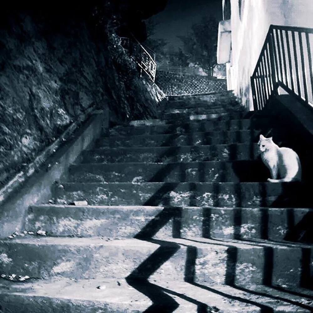 Meet your Posher, Wonnie